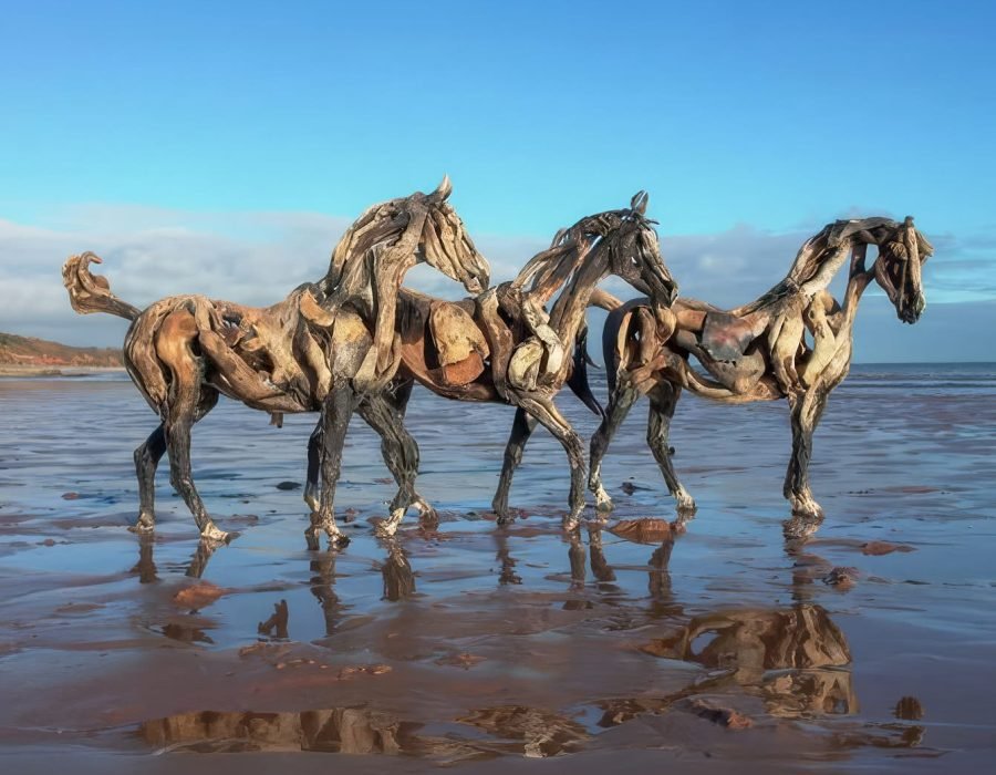 horse family